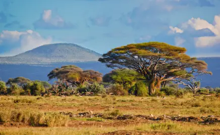 Afrika