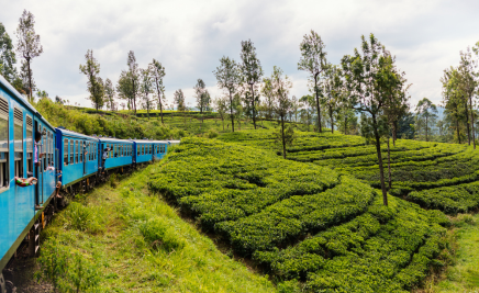 Sri Lanka​