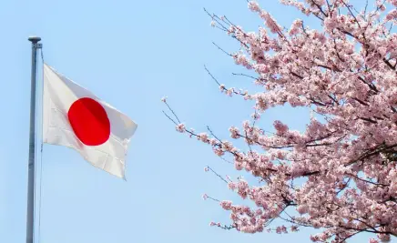 Japan Flagge Kirschblüte