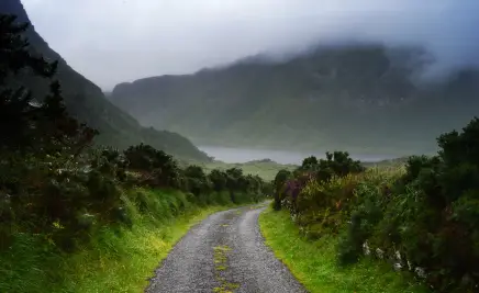 Irland Nebel Straße