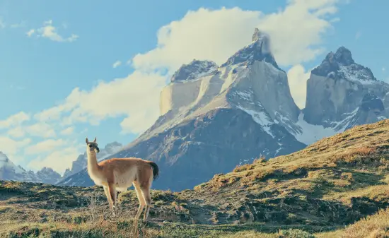 Patagonien​