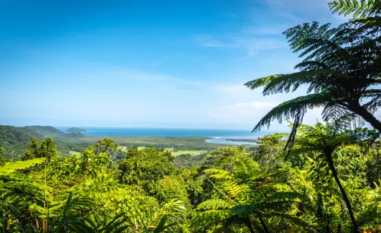 Daintree National Park