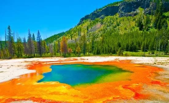 Yellowstone Nationapark