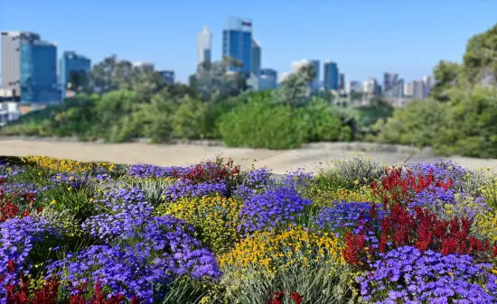 Kings Park & Botanic Garden​
